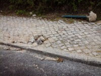 /album/galeria-de-fotos/a20150506-133005-jpg/