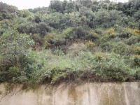 /album/galeria-de-fotos/a20150506-133242-jpg/