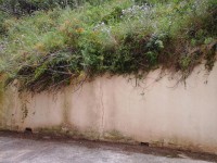 /album/galeria-de-fotos/a20150506-133249-jpg/