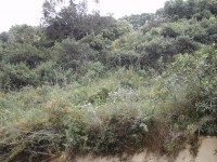 /album/galeria-de-fotos/a20150506-133255-jpg/