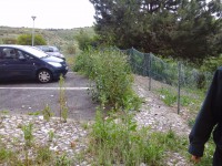 /album/galeria-de-fotos/a20150506-134258-jpg/