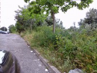 /album/galeria-de-fotos/a20150506-134731-jpg/