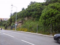 /album/galeria-de-fotos/a20150506-135255-jpg/