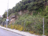 /album/galeria-de-fotos/a20150506-135307-jpg/