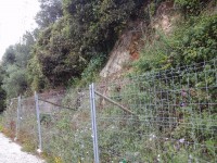 /album/galeria-de-fotos/a20150506-135338-jpg/