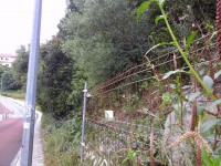 /album/galeria-de-fotos/a20150506-135409-jpg/