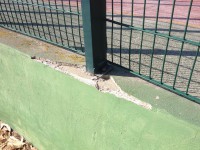 /album/cacem/img-3732-jpg/