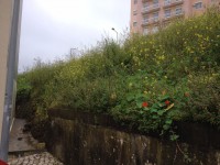 /album/cacem/img-1985-jpg/