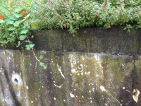 /album/cacem/img-1986-jpg/