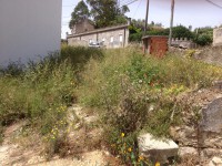 /album/cacem/img-8312-jpg/