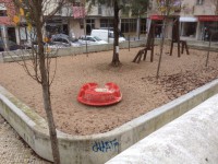 /album/cacem/img-0932-jpg/