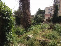 /album/cacem/img-8319-jpg/