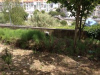 /album/cacem/img-8323-jpg/