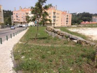 /album/cacem/img-8347-jpg/