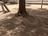 /album/cacem/img-8326-jpg/