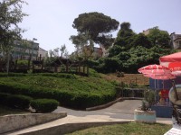 /album/cacem/img-8330-jpg/