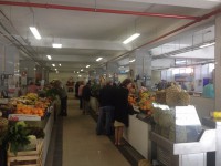 /album/cacem/img-8387-jpg/