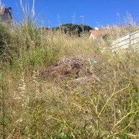 /album/cacem/img-8403-jpg/