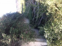 /album/sao-marcos/img-8454-jpg/