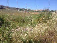 /album/sao-marcos/img-8457-jpg/