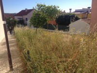 /album/cacem/img-8476-jpg/