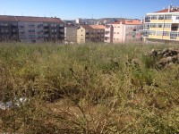 /album/cacem/img-8499-jpg/