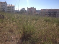 /album/cacem/img-8502-jpg/