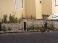 /album/cacem/img-8517-jpg/