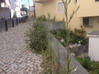 /album/cacem/img-8518-jpg/