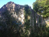 /album/cacem/img-8509-jpg/