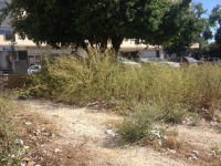 /album/cacem/img-8520-jpg/