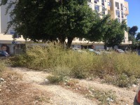 /album/cacem/img-8521-jpg/